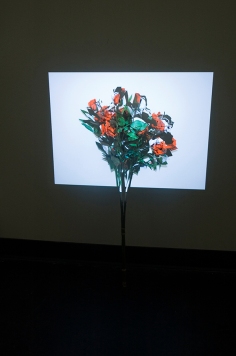 © Akihiko Miyoshi, 'RoRsesResoR', Faux rose spray painted white and projected video image of rose, 2010.